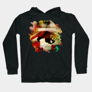 Red Panda Abstract mixed media art collage Hoodie